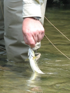 Slip out the hook Slip out the hook