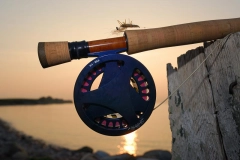 Sunset gear Sunset gear