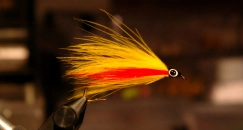 Bird Fur Mickey Bird Fur Mickey