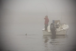 Hard fight in dense fog Hard fight in dense fog