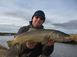 Even brownies like spiders Even brownies like spiders