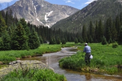 Tight to the Bank Tight to the Bank