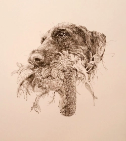 Dog and grouse Dog and grouse