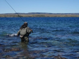 Exciting wading Exciting wading