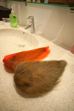 Bucktails Bucktails