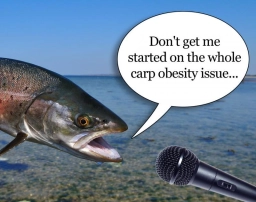 Dont' get me started Dont' get me started