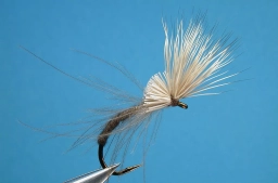 Crippled CDC & Elk Crippled CDC & Elk