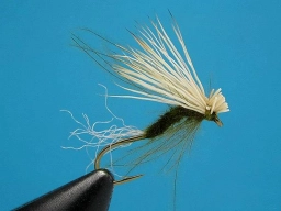 Emerging CDC & Elk Caddis Emerging CDC & Elk Caddis