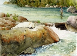 Fishin' dog Fishin' dog