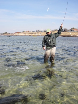 Springtime fish Springtime fish