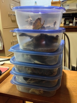 Preservation factory Preservation factory