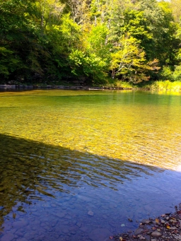 Darker green pool Darker green pool
