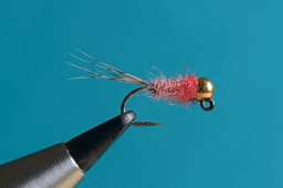 Pink nymph Pink nymph
