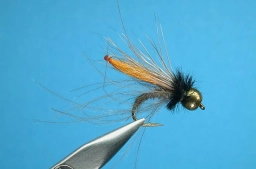 Teardrop Diving CDC & Elk Teardrop Diving CDC & Elk