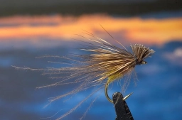 CDC & Elk a la Hans Weilenmann CDC & Elk a la Hans Weilenmann