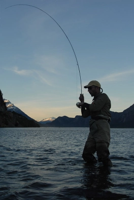 Into a fish Into a fish