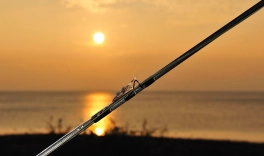 The sun as a backdrop The sun as a backdrop