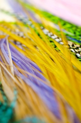 Inspired by colors Inspired by colors