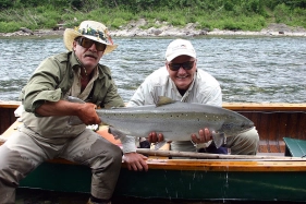 Fish and sun glasses Fish and sun glasses