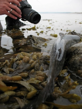 No risk zone No risk zone