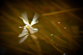 Taking off Taking off