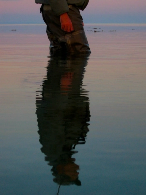 Reflection only Reflection only