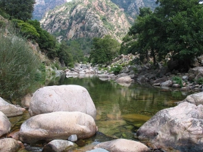 No reflections No reflections