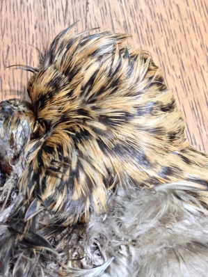 Shoulder feathers Shoulder feathers