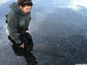 Releasing Releasing