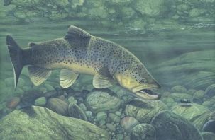 The riverkeeper The riverkeeper