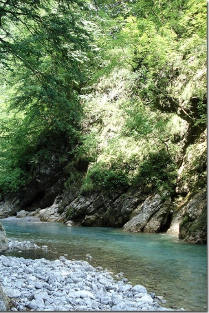 Dusty green and clear Dusty green and clear