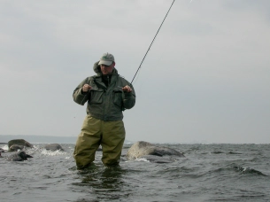 In the waves In the waves