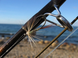 Large shooting eyes Large shooting eyes