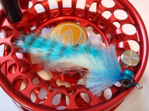 Ready for some action Ready for some action