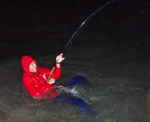 Jacques leaning into a shark, making sure he is not taken into the Deep. Jacques leaning into a shark, making sure he is not taken into the Deep.