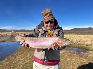Peter and a Rainbow Peter and a Rainbow