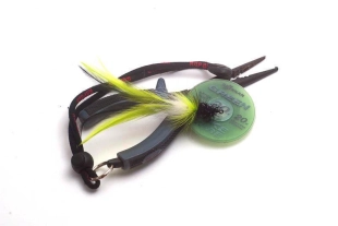 The bundle The bundle