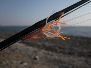 The Knotted Pig The Knotted Pig