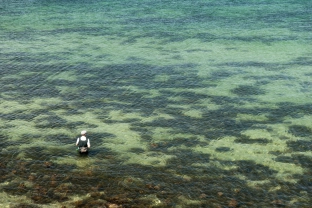 Sea trout country Sea trout country