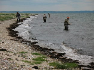 Eight is a crowd Eight is a crowd