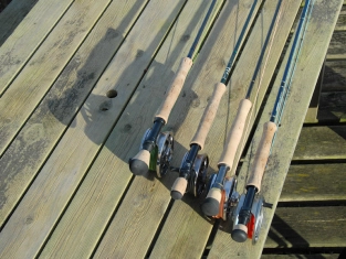 Low sun, long shadows Low sun, long shadows