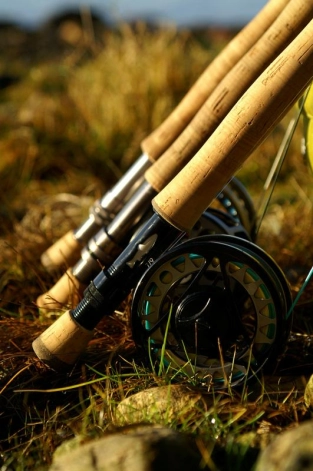 A small collection A small collection