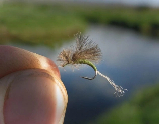 Emerger ready for action Emerger ready for action