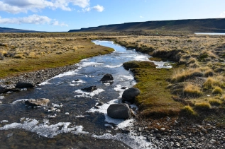The ice on the spring creek The ice on the spring creek