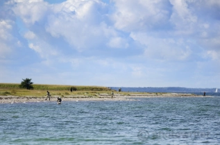 Spread out Spread out