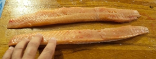 The strips The strips