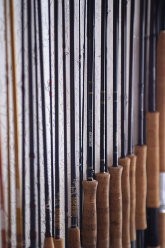 Repetition Repetition