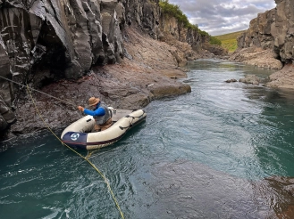 A rare sight A rare sight