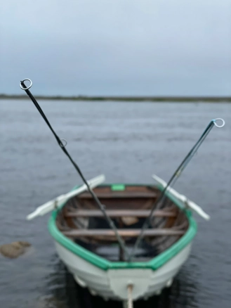 Rods in the boat Rods in the boat