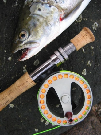 Rearranged Rearranged